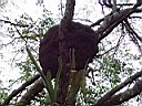 Mexico2005 110.jpg